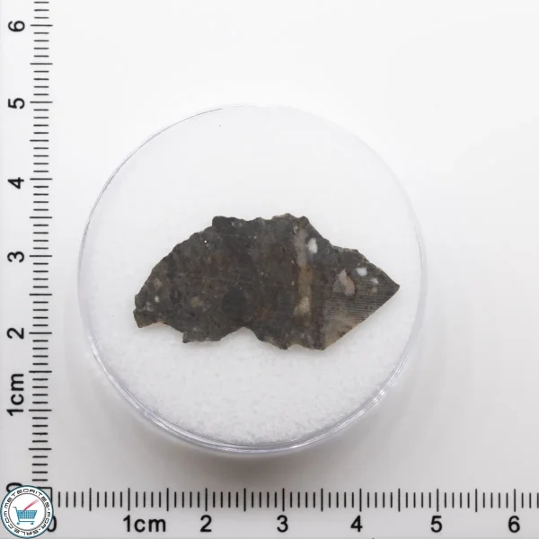 NWA 11182 Lunar Meteorite 0.75g