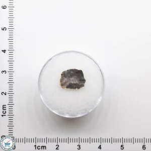 NWA 11182 Lunar Meteorite 0.19g