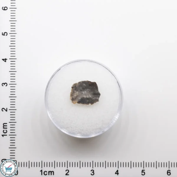 NWA 11182 Lunar Meteorite 0.19g