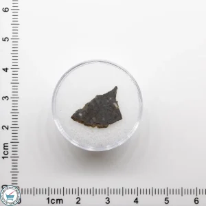 NWA 11182 Lunar Meteorite 0.2g