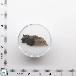 NWA 11182 Lunar Meteorite 0.37g