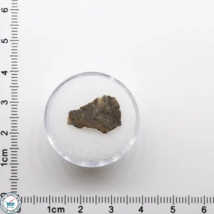NWA 11182 Lunar Meteorite 0.35g