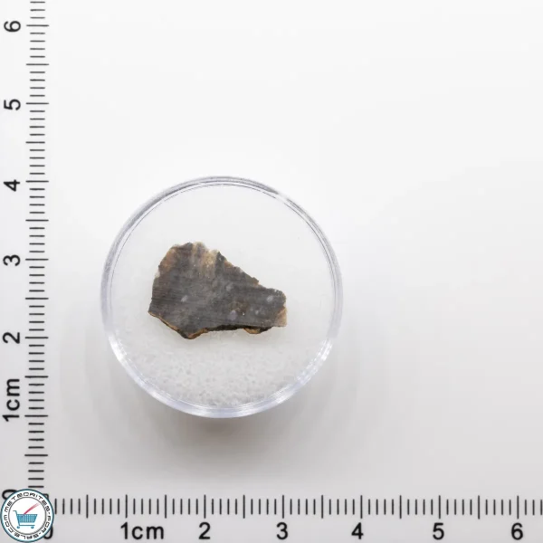 NWA 11182 Lunar Meteorite 0.35g - Image 2