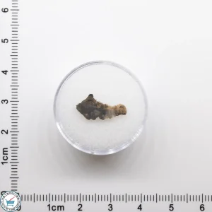 NWA 11182 Lunar Meteorite 0.15g