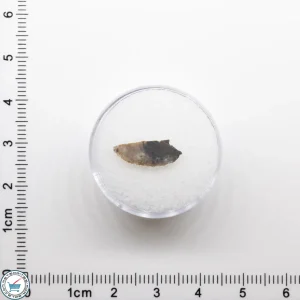 NWA 11182 Lunar Meteorite 0.12g
