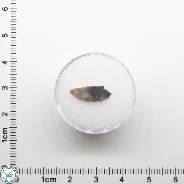 NWA 11182 Lunar Meteorite 0.12g