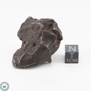 Gebel Kamil Iron Meteorite 74.4g