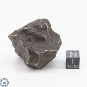 Gebel Kamil Iron Meteorite 105.1g