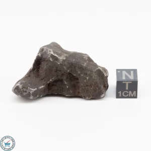 Gebel Kamil Iron Meteorite 55.6g