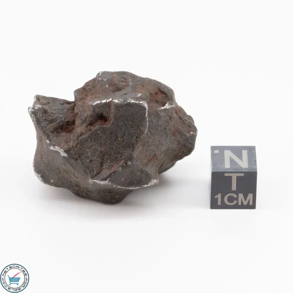 Gebel Kamil Iron Meteorite 75.8g