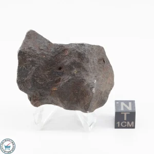 Gebel Kamil Iron Meteorite 101.2g