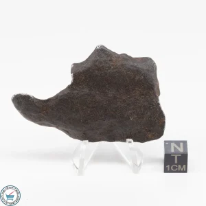 Gebel Kamil Iron Meteorite 64g