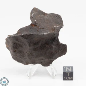Gebel Kamil Iron Meteorite 173.4g