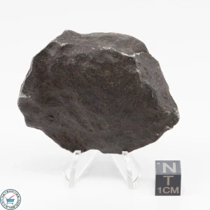 Gebel Kamil Iron Meteorite 171g