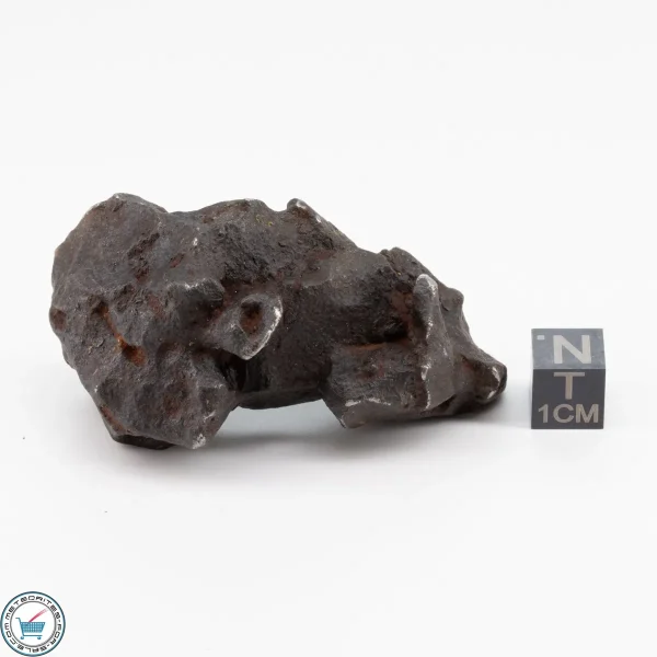 Gebel Kamil Iron Meteorite 141.4g