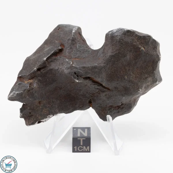 Gebel Kamil Iron Meteorite 245g