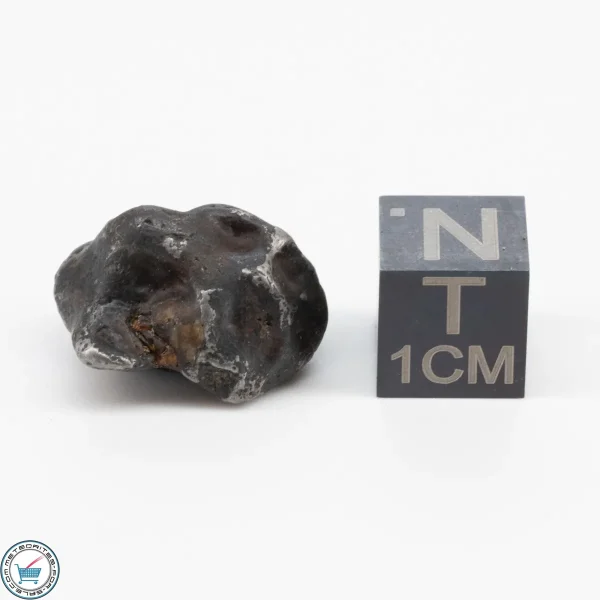 Sericho Pallasite Individual 6.2g
