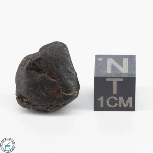 Sericho Pallasite Individual 3.6g