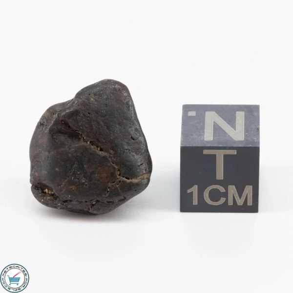 Sericho Pallasite Individual 3.6g