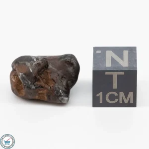 Sericho Pallasite Individual 3.5g