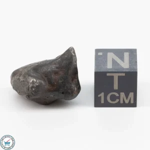 Sericho Pallasite Individual 4.4g