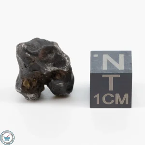 Sericho Pallasite Individual 4.5g