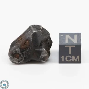 Sericho Pallasite Individual 6.4g
