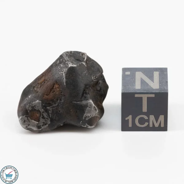 Sericho Pallasite Individual 6.4g