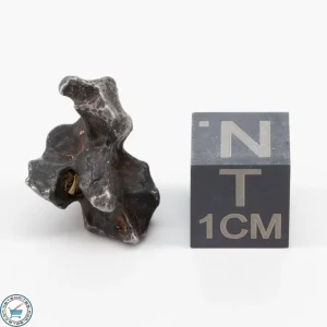 Sericho Pallasite Individual 3.5g