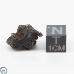 Sericho Pallasite Individual 5.2g