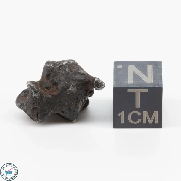 Sericho Pallasite Individual 5.2g