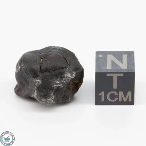 Sericho Pallasite Individual 6g