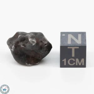 Sericho Pallasite Individual 6g
