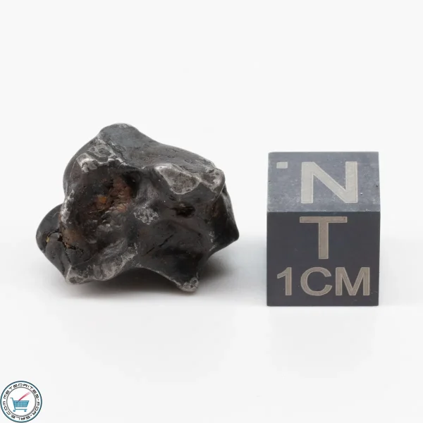 Sericho Pallasite Individual 5.8g
