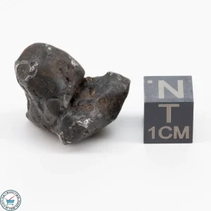 Sericho Pallasite Individual 11.7g
