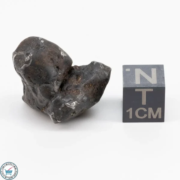 Sericho Pallasite Individual 11.7g