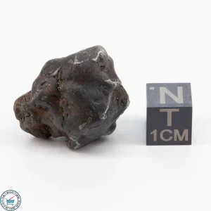 Sericho Pallasite Individual 16.5g