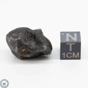 Sericho Pallasite Individual 11.8g