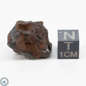 Sericho Pallasite Individual 10.1g