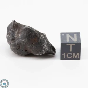 Sericho Pallasite Individual 15.5g