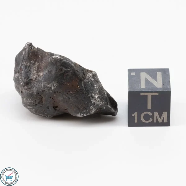 Sericho Pallasite Individual 15.5g