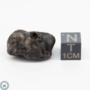 Sericho Pallasite Individual 12.6g