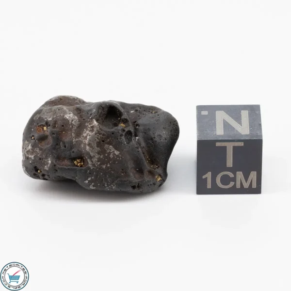 Sericho Pallasite Individual 12.6g