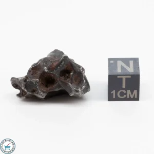 Sericho Pallasite Individual 11.2g
