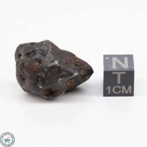 Sericho Pallasite Individual 15g