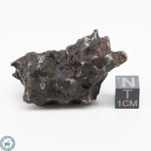 Sericho Pallasite Individual 53g