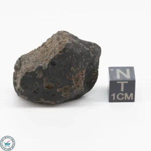 Sayh al Uhaymir 001 Meteorite 24.6g