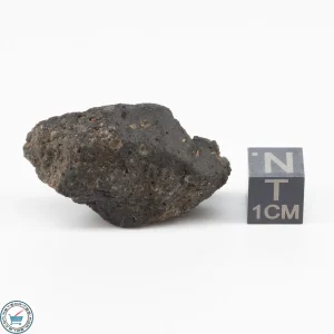 Sayh al Uhaymir 001 Meteorite 15.6g