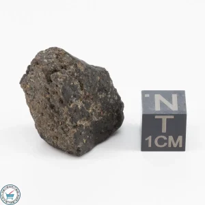 Sayh al Uhaymir 001 Meteorite 11.8g