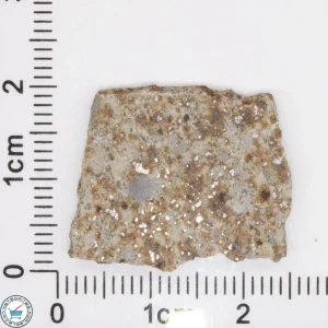 Tank Mountains Meteorite 2.7g Slice